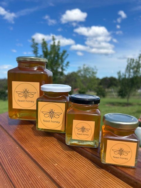 Feast Honey labelled glass jars lined up on a fence rail